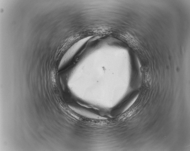 X0000059811106200511111620