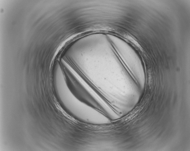 X0000059811116200511111620