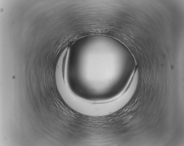 X0000059811202200511111618