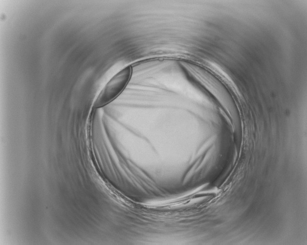X0000059811291200511111617