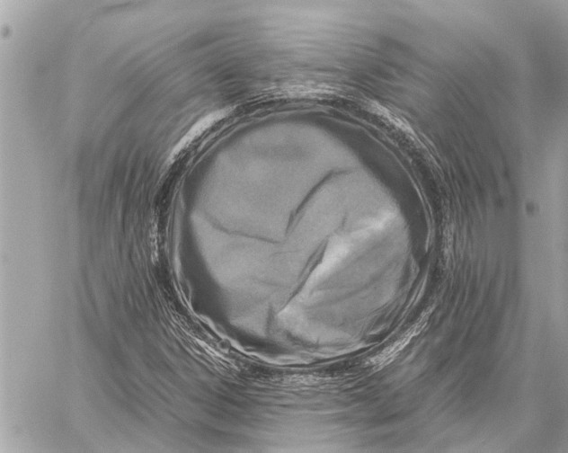 X0000059811306200511111616