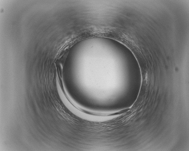 X0000059811348200511111616