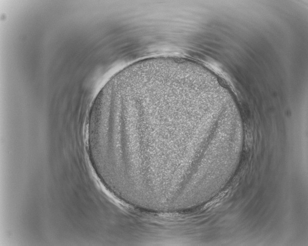 X0000059811383200511111616