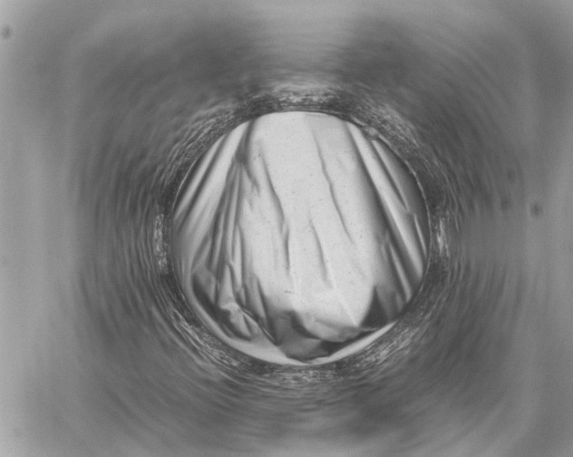 X0000059811396200511111615