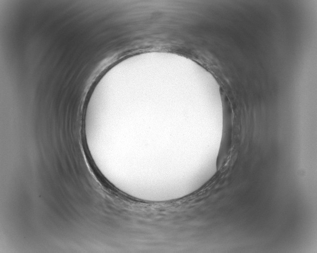 X0000059810003200511181553