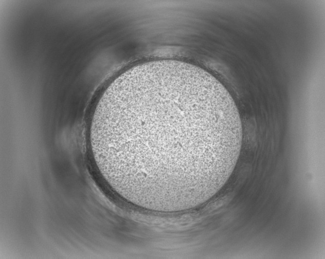 X0000059810016200511181553