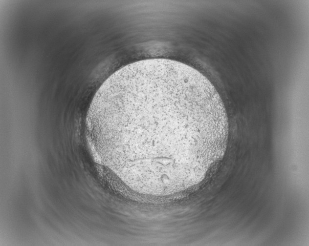 X0000059810018200511181553