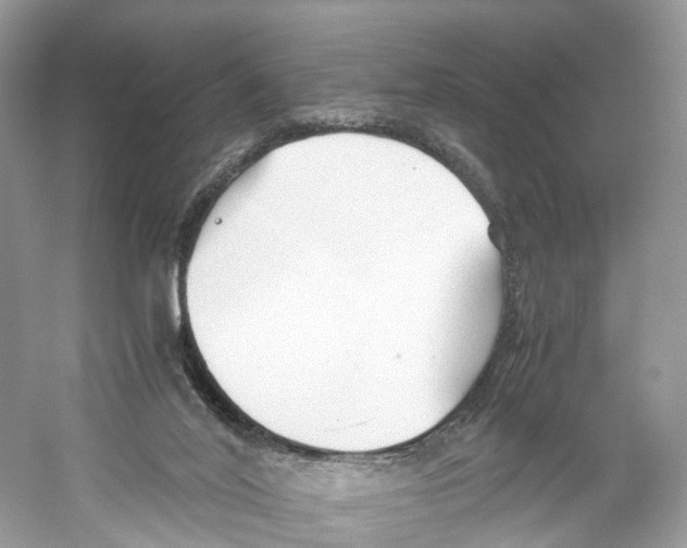 X0000059810020200511181553