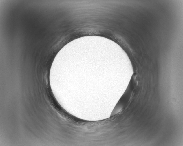 X0000059810021200511181553