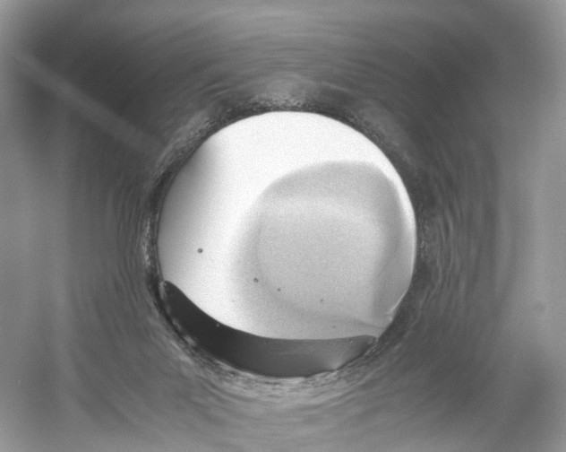 X0000059810023200511181553
