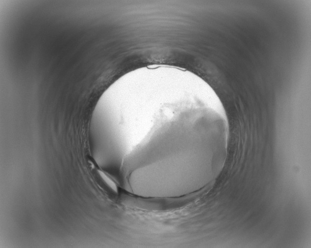 X0000059810031200511181553