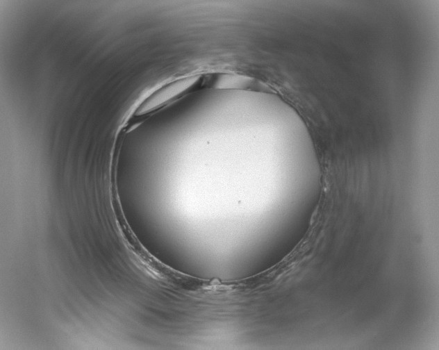 X0000059810052200511181552