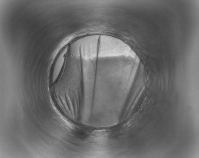 X0000059810054200511181552