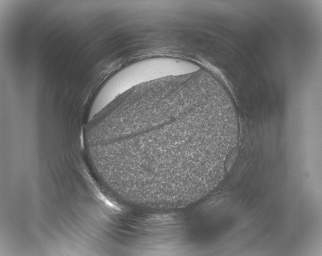X0000059810061200511181552