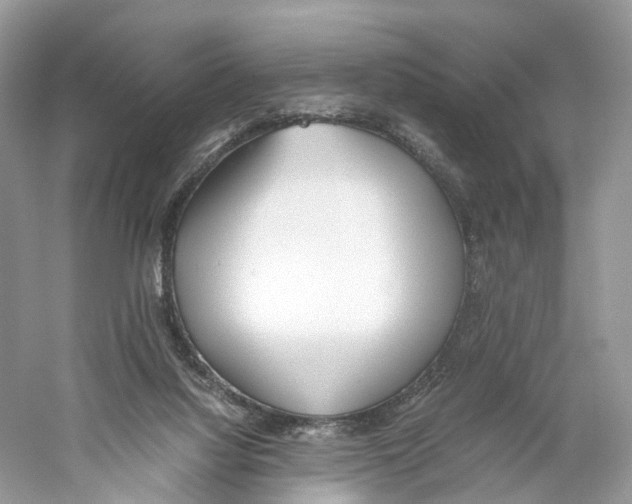 X0000059810068200511181552