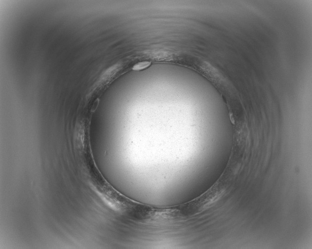 X0000059810072200511181552