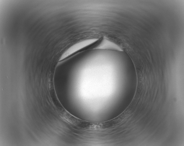 X0000059810080200511181552