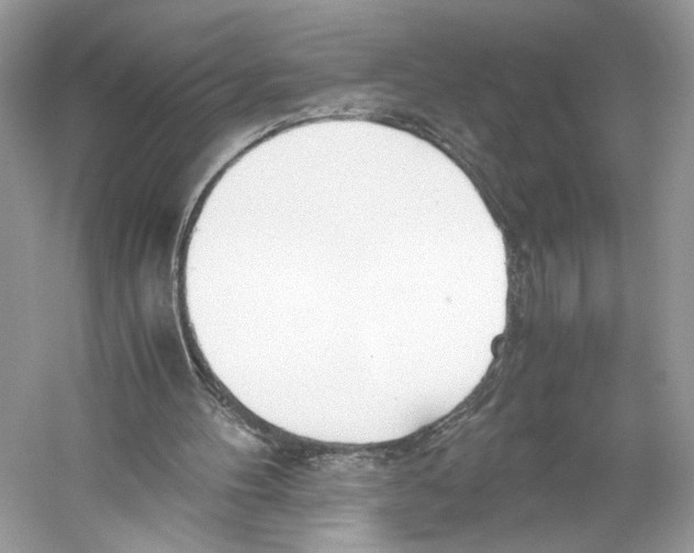 X0000059810100200511181551