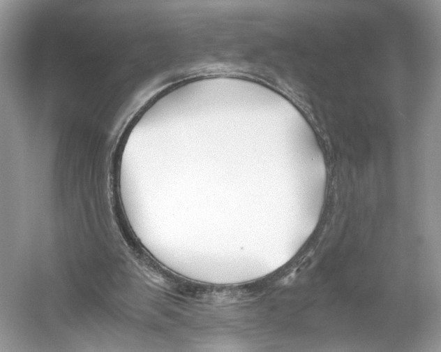 X0000059810103200511181551