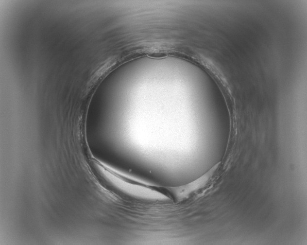 X0000059810105200511181551