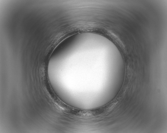 X0000059810113200511181551