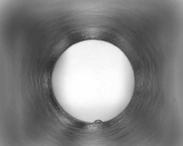 X0000059810126200511181551