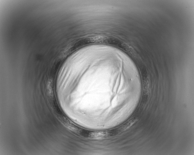 X0000059810131200511181551