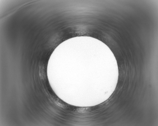 X0000059810136200511181551