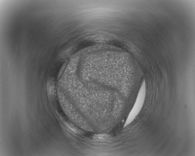 X0000059810137200511181551