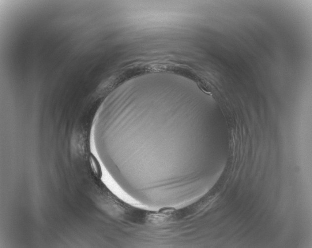X0000059810139200511181551