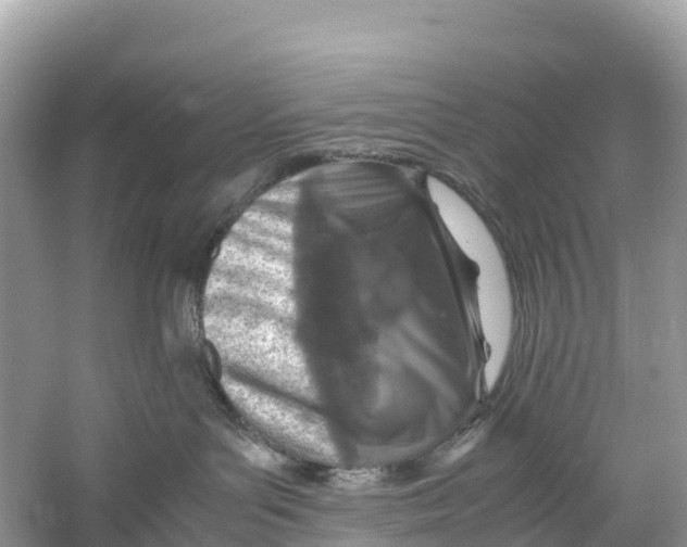 X0000059810143200511181551