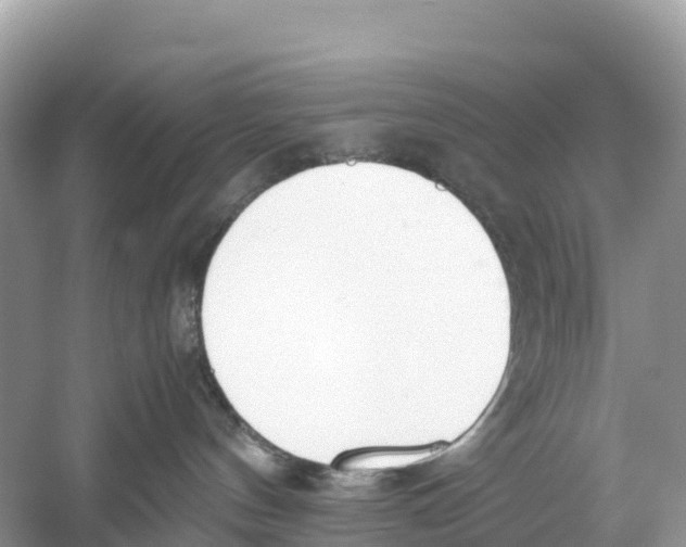 X0000059810144200511181551
