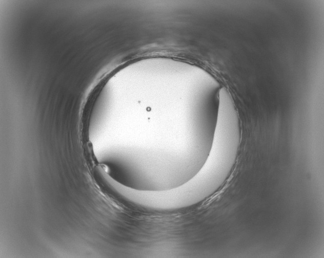 X0000059810150200511181550