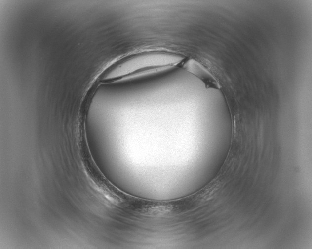 X0000059810156200511181550