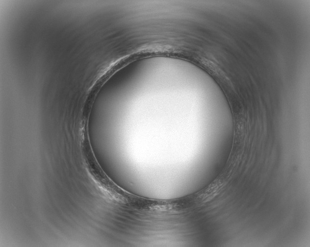 X0000059810160200511181550