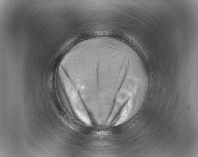 X0000059810163200511181550