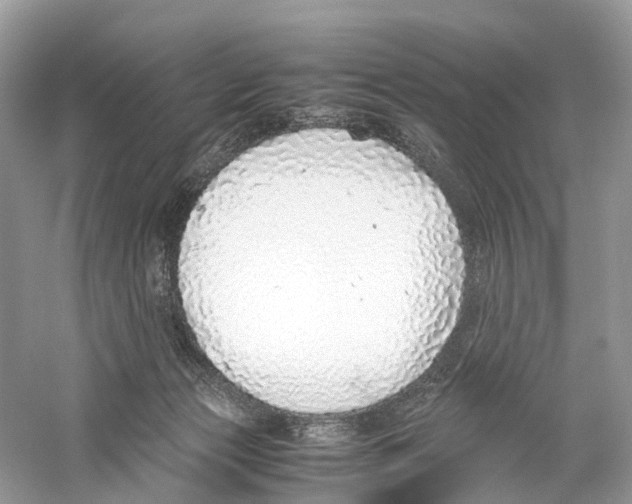 X0000059810173200511181550