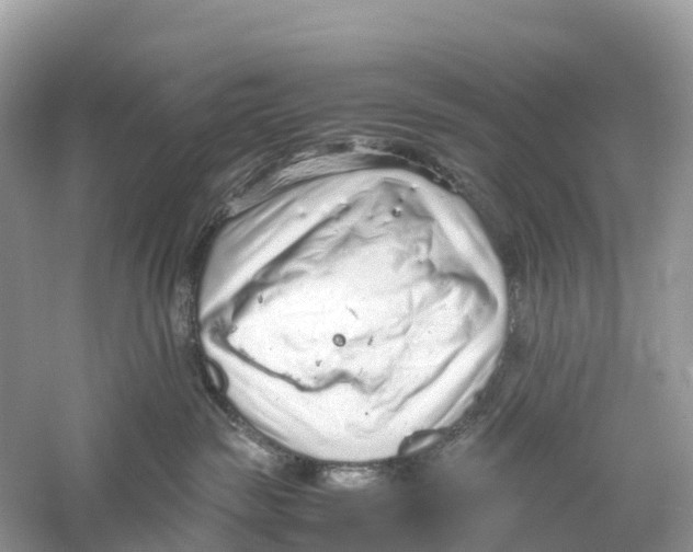 X0000059810189200511181551