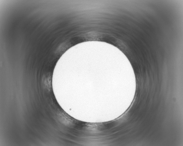 X0000059810190200511181551