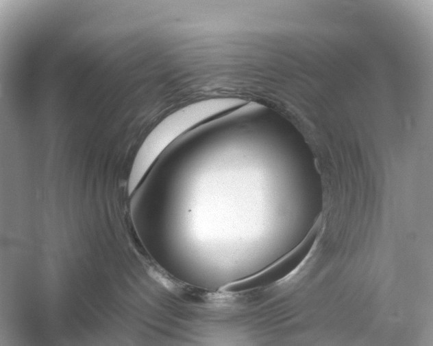 X0000059810192200511181551