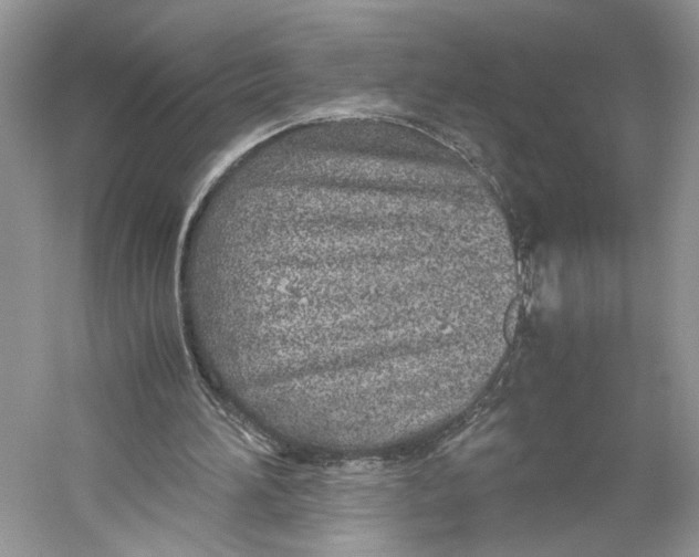 X0000059810196200511181550