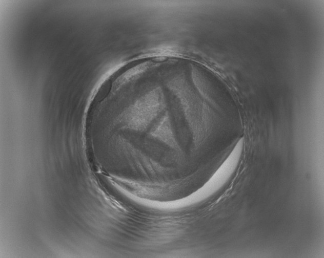 X0000059810200200511181550