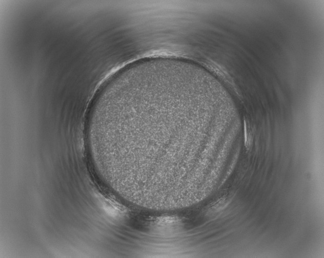 X0000059810204200511181550