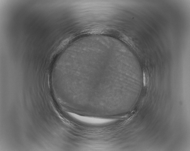 X0000059810205200511181550