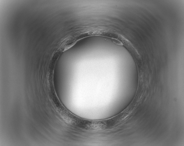 X0000059810209200511181550
