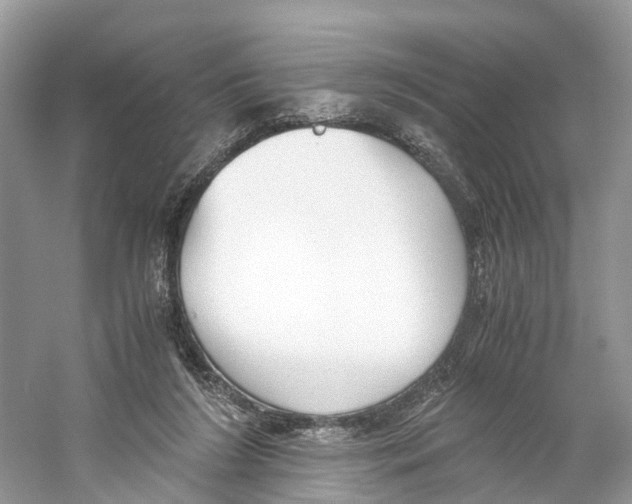 X0000059810212200511181549