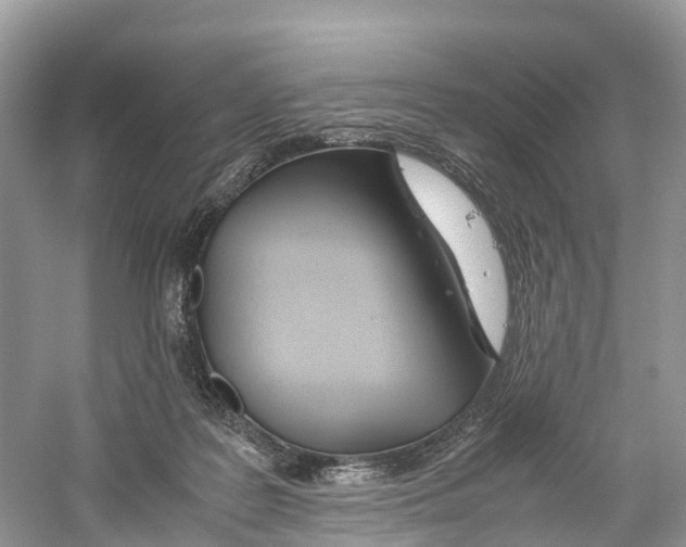 X0000059810219200511181549