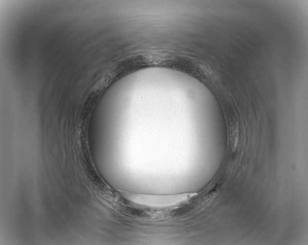 X0000059810221200511181549