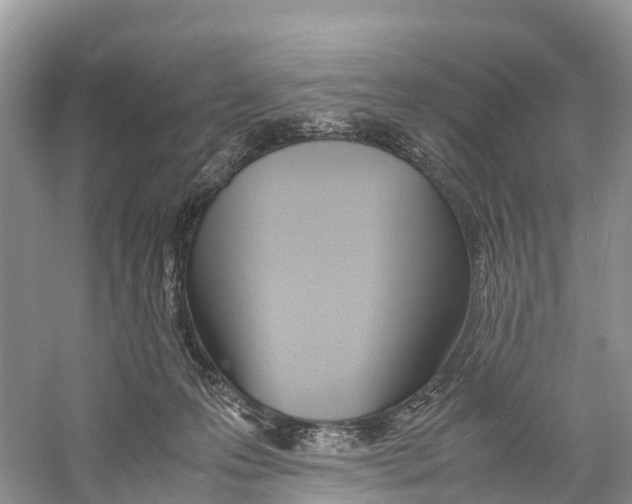 X0000059810223200511181549