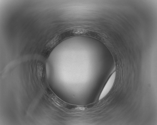 X0000059810227200511181549